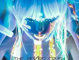 The Monro Crush 的头像