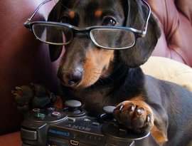 Avatar for Dog Gaming