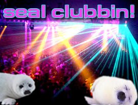 Avatar for the clubbin' seals!