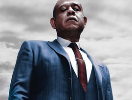 Godfather of Harlem 的头像