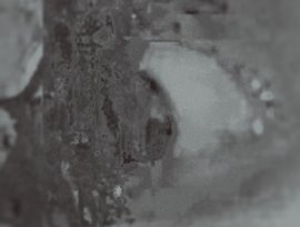 loligore orgy 的头像