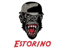 Estorino 的头像