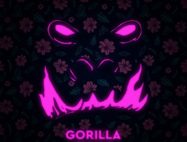 Avatar for Gorilla Zippo