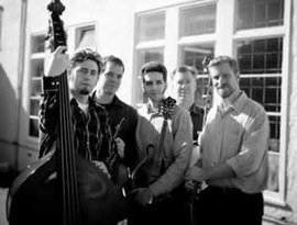 The Foggy Hogtown Boys 的头像