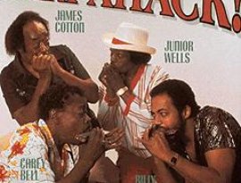 Avatar for James Cotton, Junior Wells, Carey Bell & Billy Branch