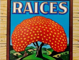 Avatar for Raices