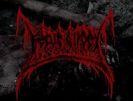 Avatar for Fetus Slicer
