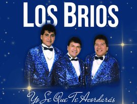 Avatar for Los Brios