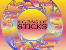Avatar for Big Bag of Sticks