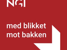 Avatar de NGI - Med blikket mot bakken