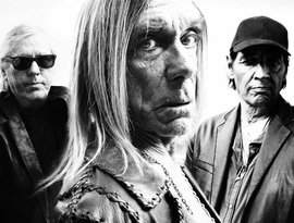 Avatar di Iggy  The Stooges