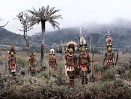 Avatar for Huli Highlanders