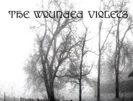 The Wounded Violets için avatar