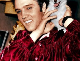 Аватар для Elvis Presley