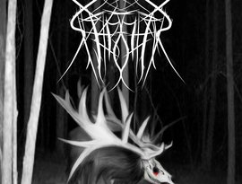 Awatar dla SPECTRAL TEMPER