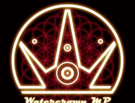 Avatar for Watercrown MP