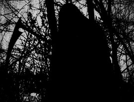 Avatar für Totenwolf