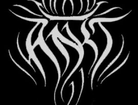 Avatar for Ankt