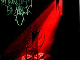 Intorment Black 的头像