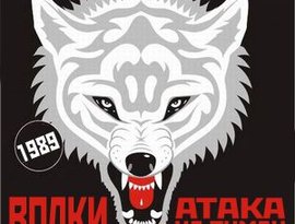 Avatar for Волки