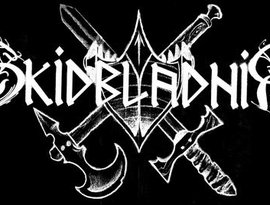 Skidbladnir のアバター