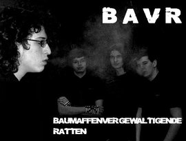 BAVR 的头像