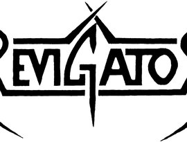 Avatar for Revigator