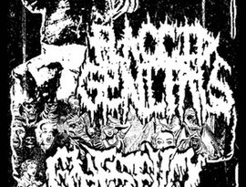 Flaccid Genitals 的头像