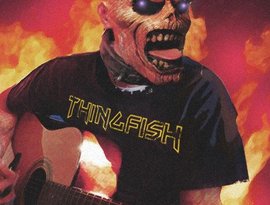 Thingfish 的头像