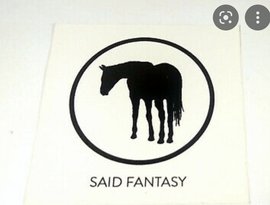 Said Fantasy 的头像