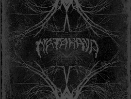 Avatar for NATARAYA