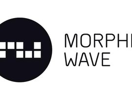 Morphic Wave 的头像
