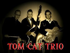 Avatar for Tom Cat Trio