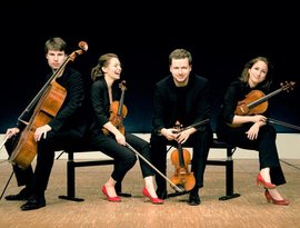 Armida Quartett 的头像