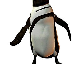Penguen Dansı 的头像