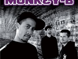 Monkey-B 的头像