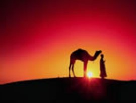 Avatar for ARABIC