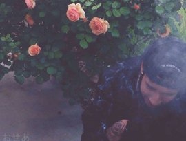 Ohsea 的头像