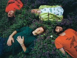 Avatar de Animal Collective