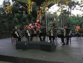 Avatar de Quinteto Persch