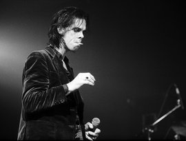 Nick Cave & the Bad Seeds のアバター