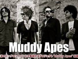 Muddy Apes 的头像