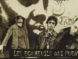 Avatar de les ecureuils qui puent