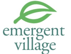 Emergent Village 的头像