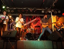 They Tap Revolt 的头像
