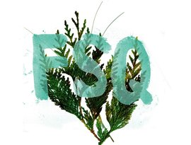 Avatar for FSQ
