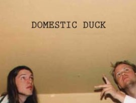 Avatar for domestic duck