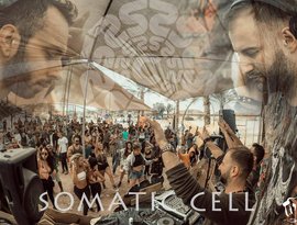 Somatic Cell 的头像