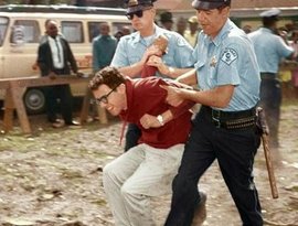 Bernie Sanders 的头像