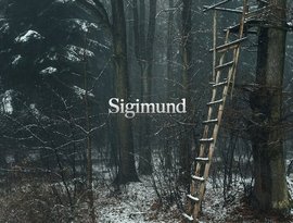 Sigimund 的头像